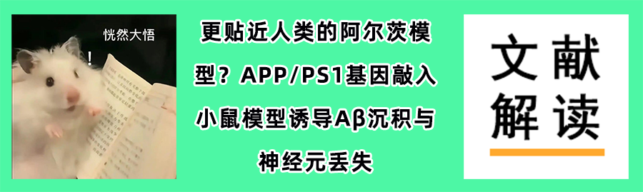 APP/PS1.1