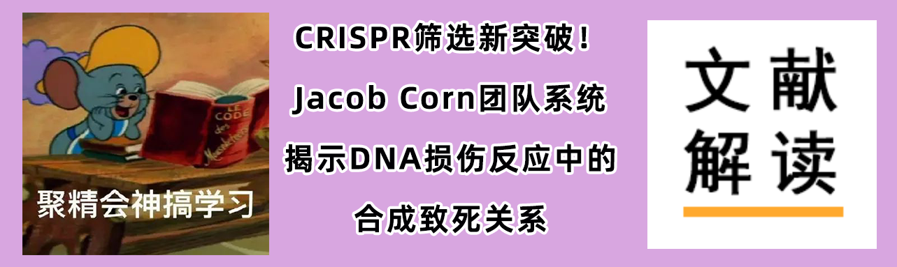 中文双封0527.png