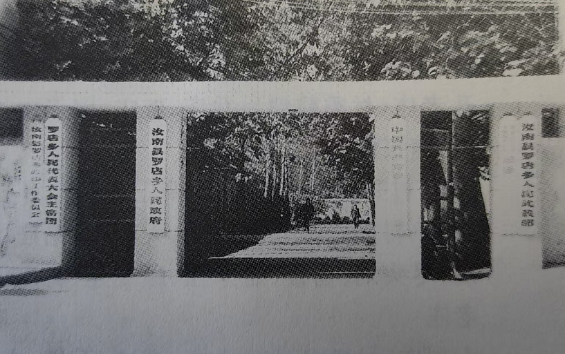 罗店.png
