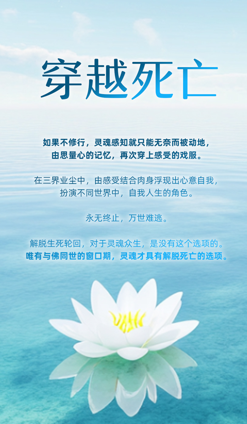 0425 穿越死亡.jpg