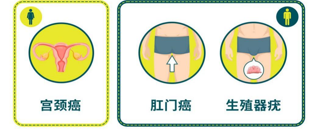 ͼƬ9.png