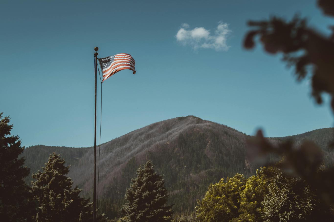 pexels-timmossholder-2978019.jpg