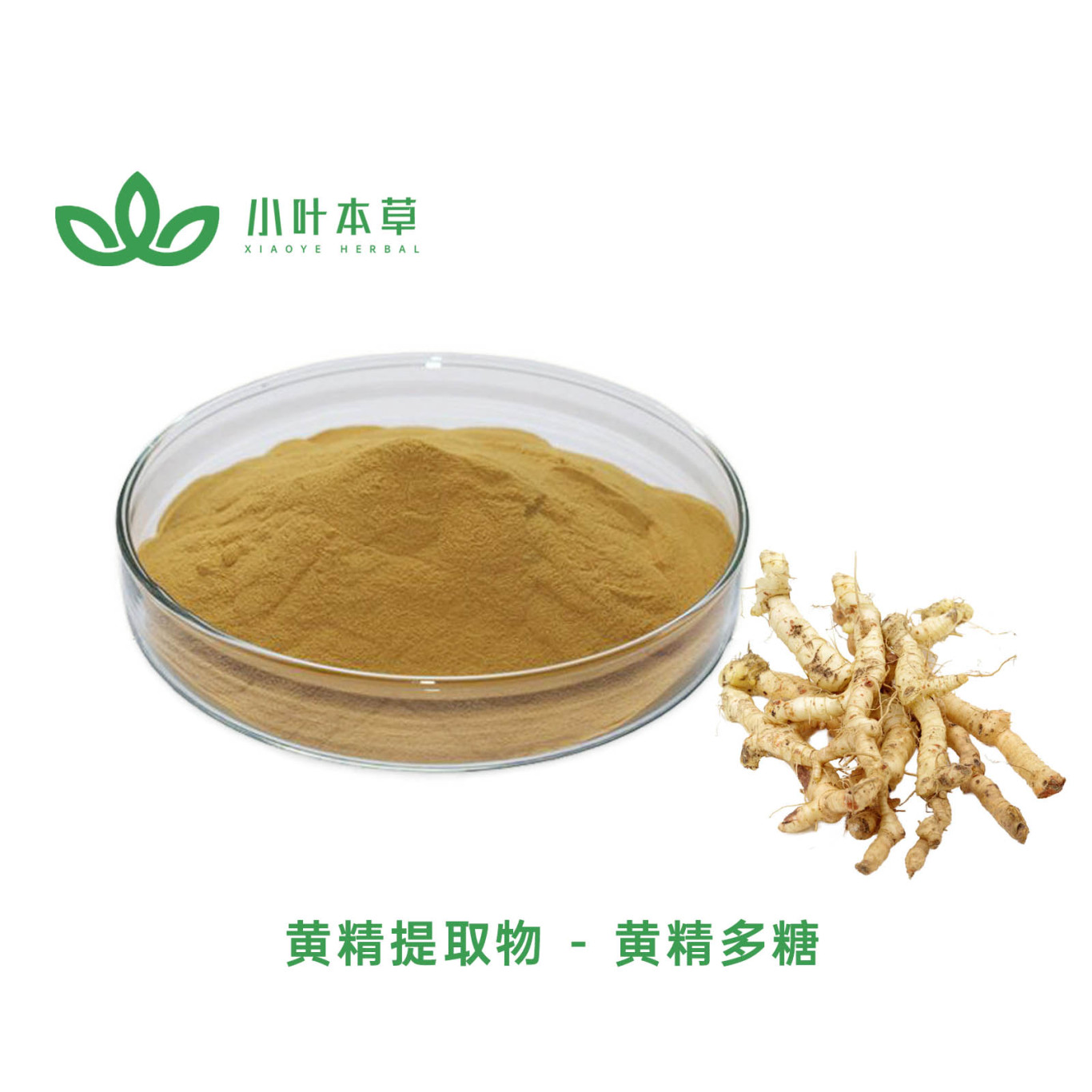 黄精提取物.jpg