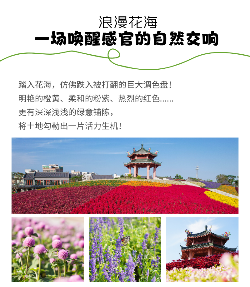 850a6143-ddb1-4e52-ab8c-665e0d309b68.png