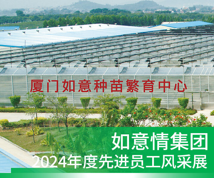 香港新跑狗图118图库