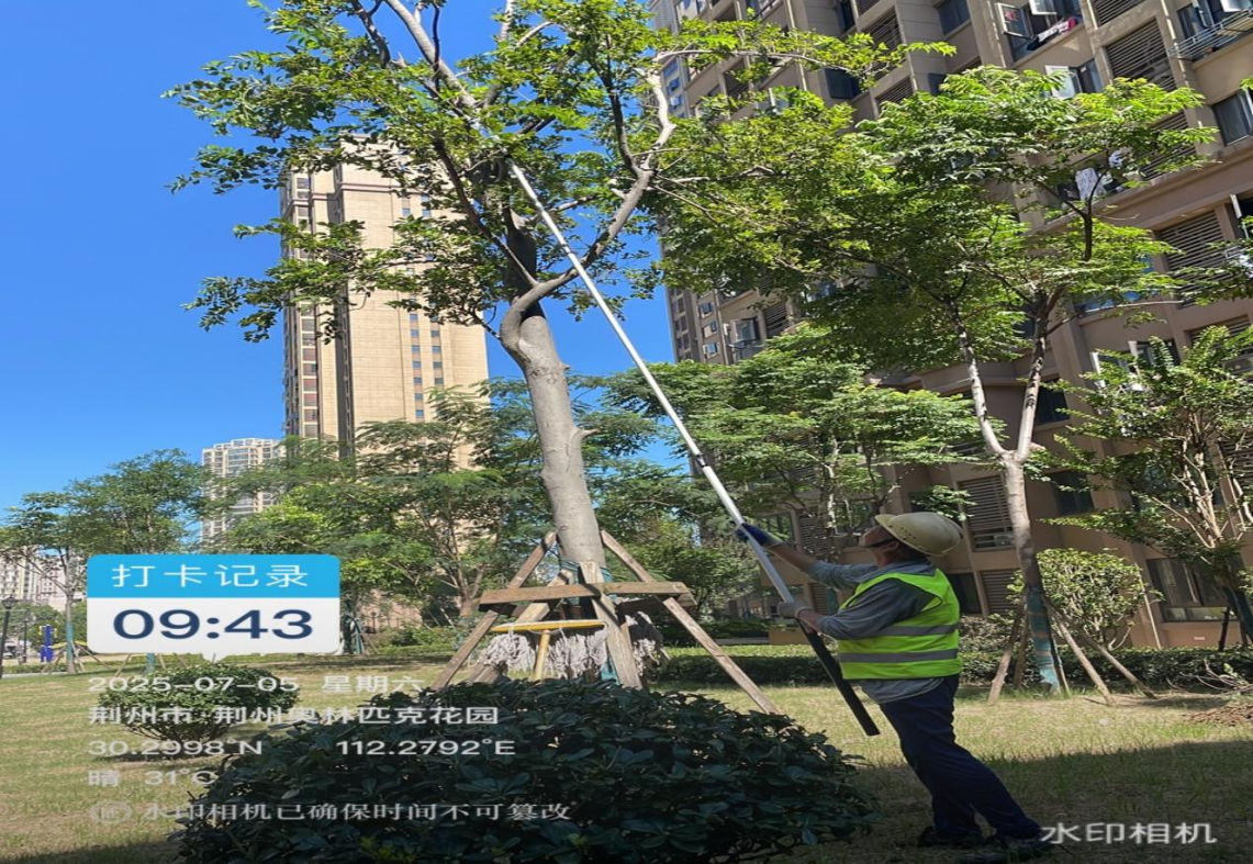 启新程，筑安心 ——居安物业入驻奥林匹克花园小区一周工作纪实