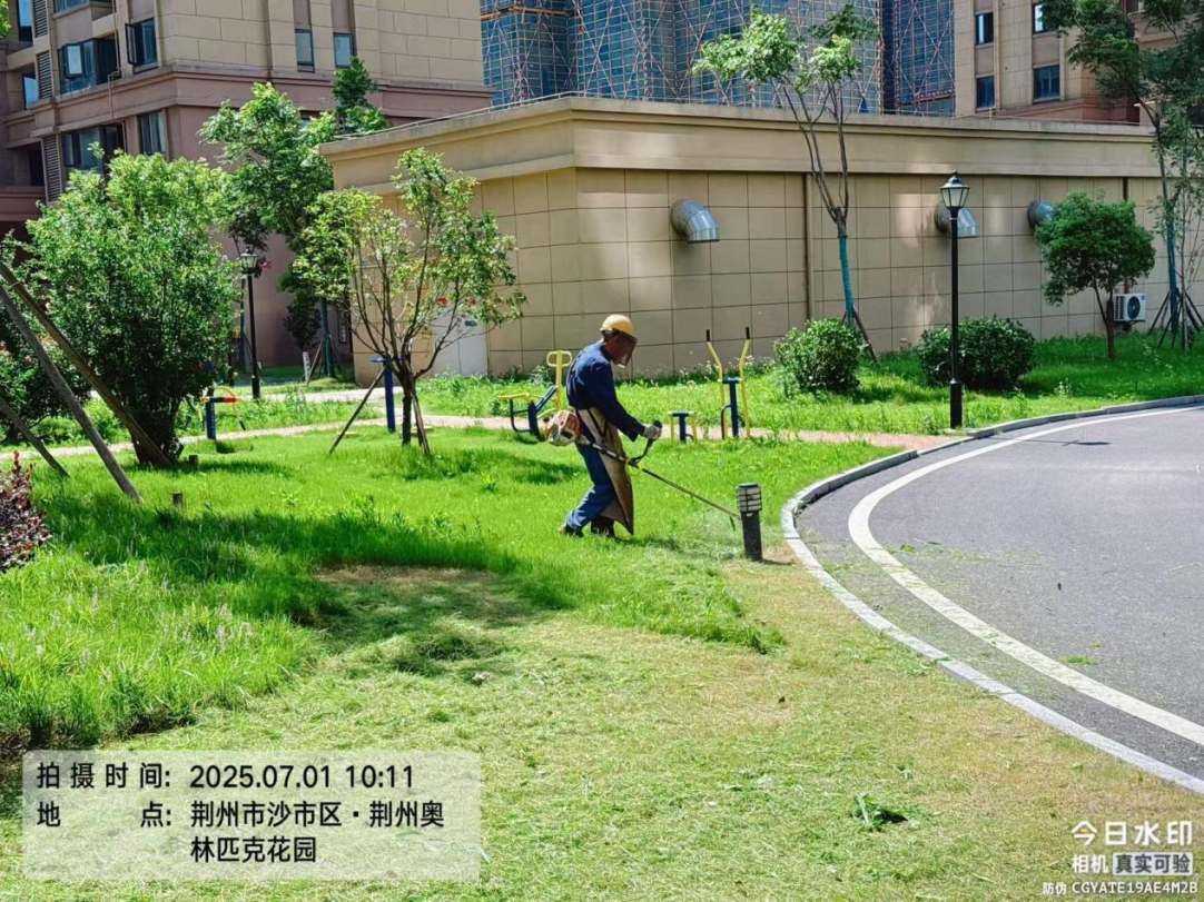 启新程，筑安心 ——居安物业入驻奥林匹克花园小区一周工作纪实