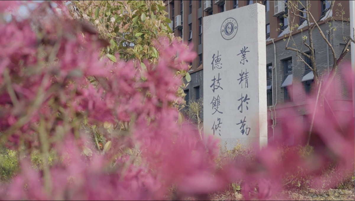 和君职业学院2025年简介
