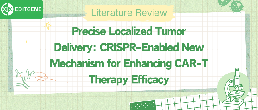 Precise Localized Tumor Delivery: CRISPR-Enabled New Mechanism for Enhancing CAR-T Therapy Efficacy