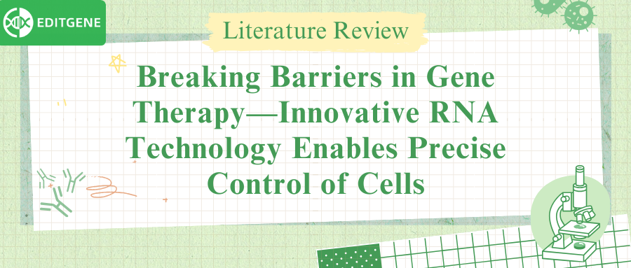 Breaking Barriers in Gene Therapy—Innovative RNA Technology Enables Precise, Programmable Control of Cells