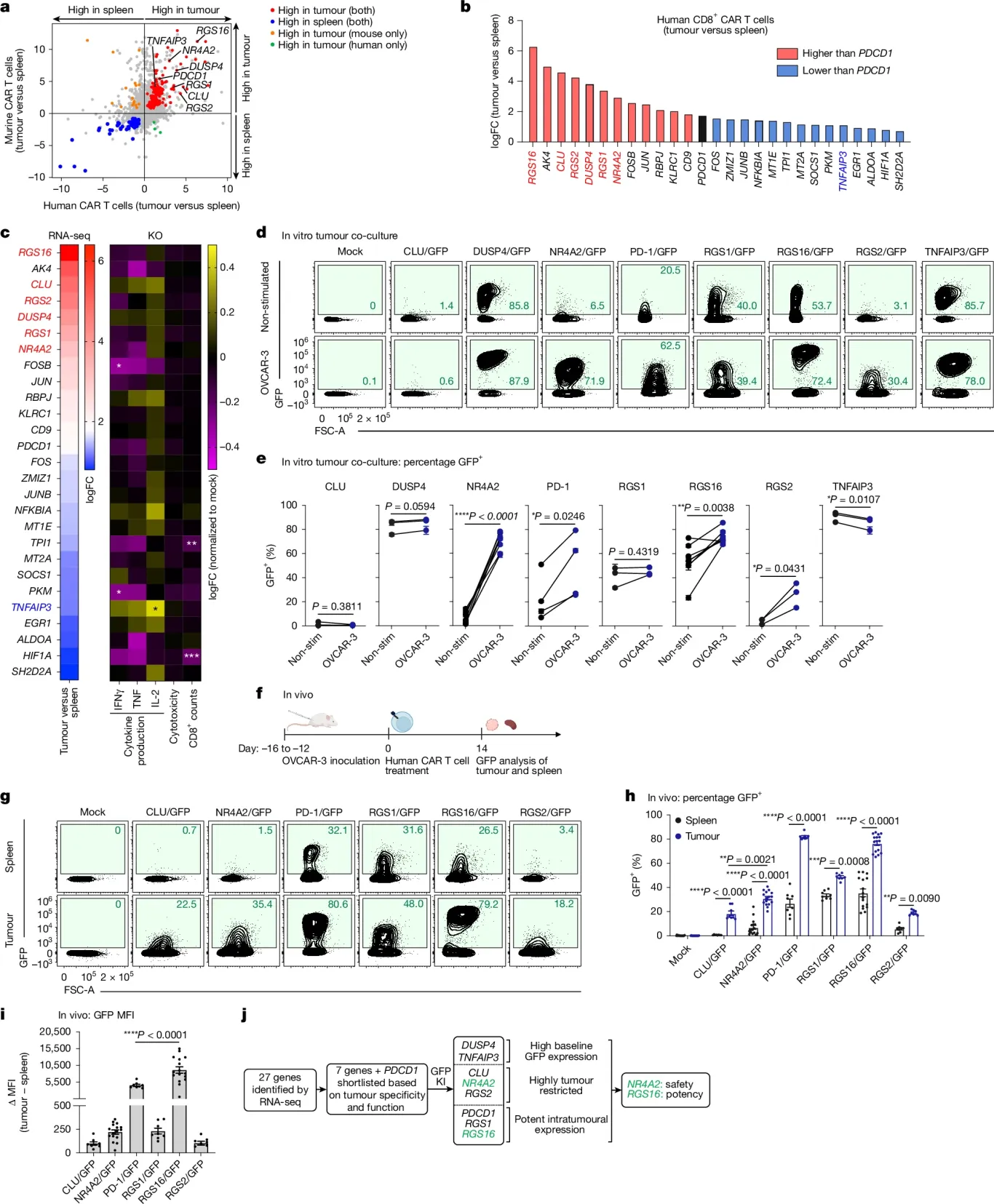 Identification of optimal target genes for CRISPR-engineered armored T cells