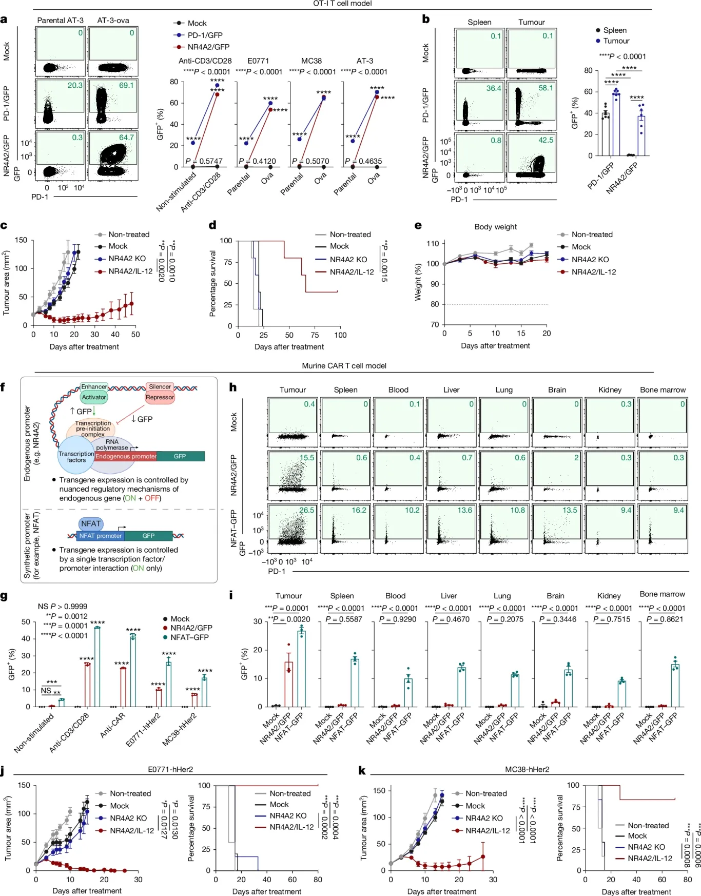 Excellent Tolerability and Robust Antitumor Immune Response