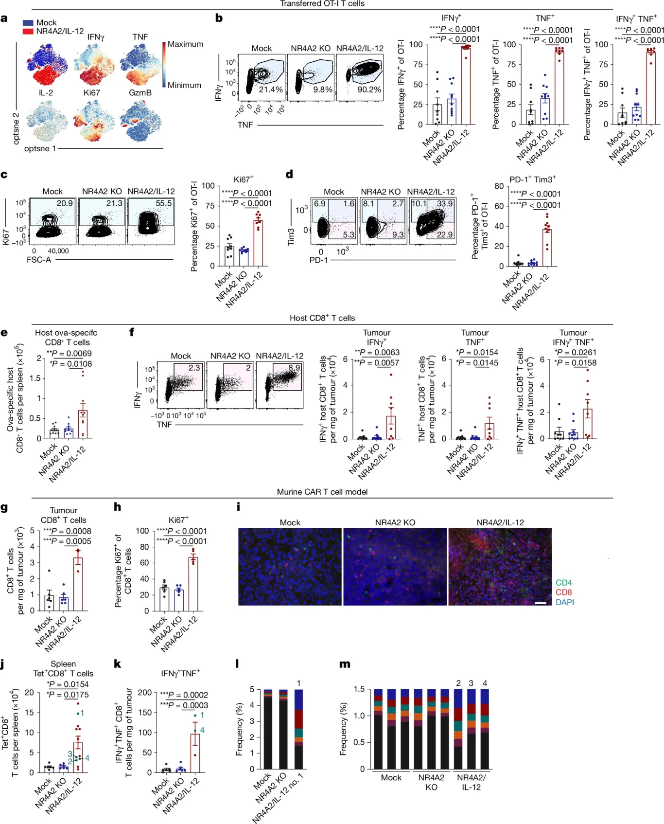 Enhanced proinflammatory response and promotion of host antitumor immunity