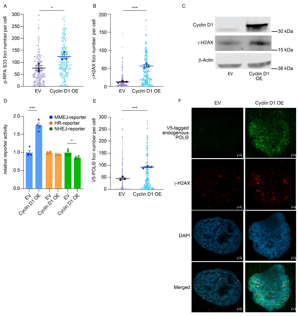 Cyclin D1 overexpression selectively activates MMEJ-mediated DNA damage repair