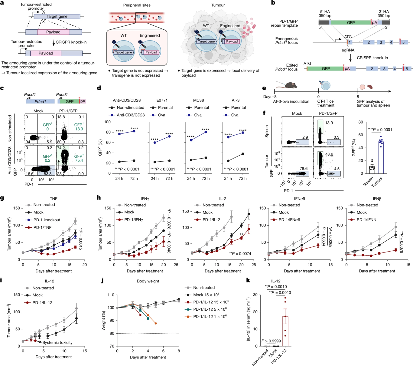CRISPR knock-in strategy for developing armored T cells