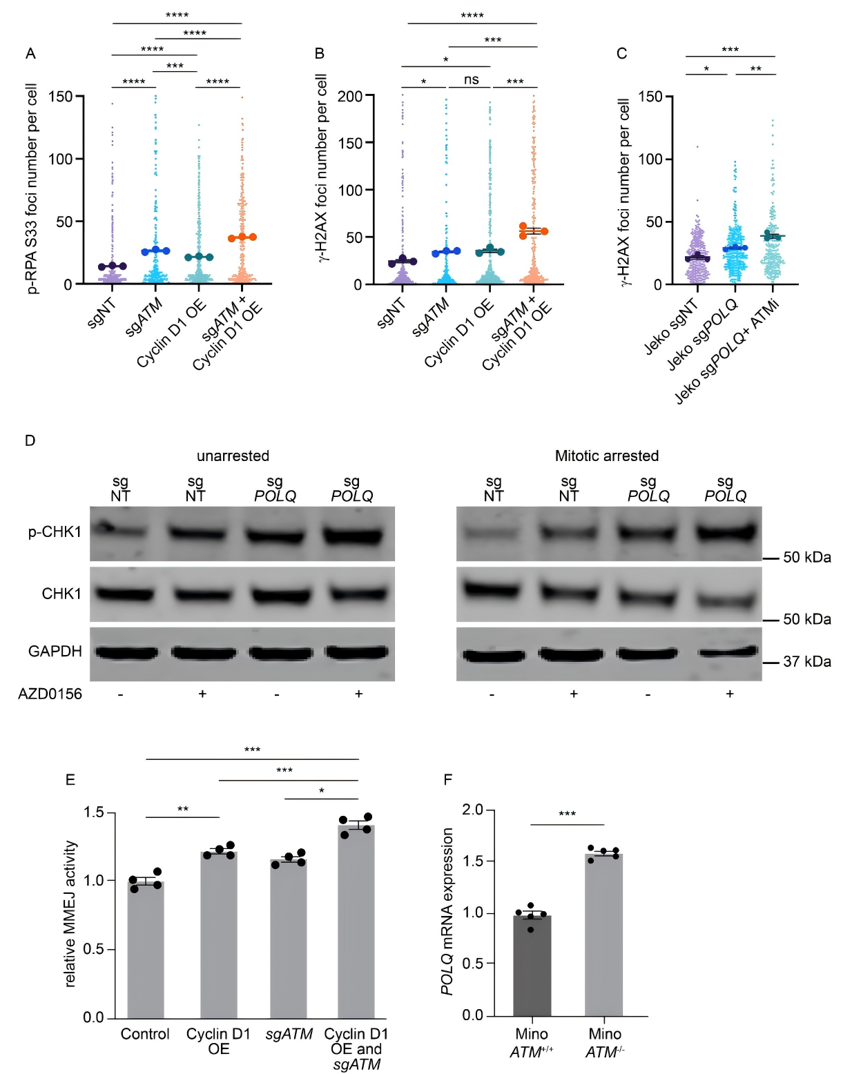 ATM deficiency and Cyclin D1 overexpression jointly enhance MMEJ-mediated DNA damage repair
