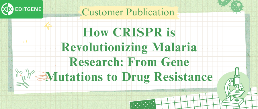 How CRISPR is Revolutionizing Malaria Research: From Gene Mutations to Drug Resistance