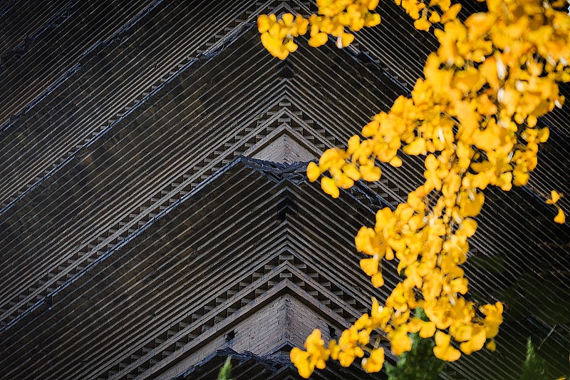 小雁塔2.jpg