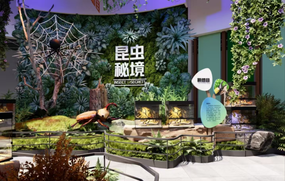 图片7.png