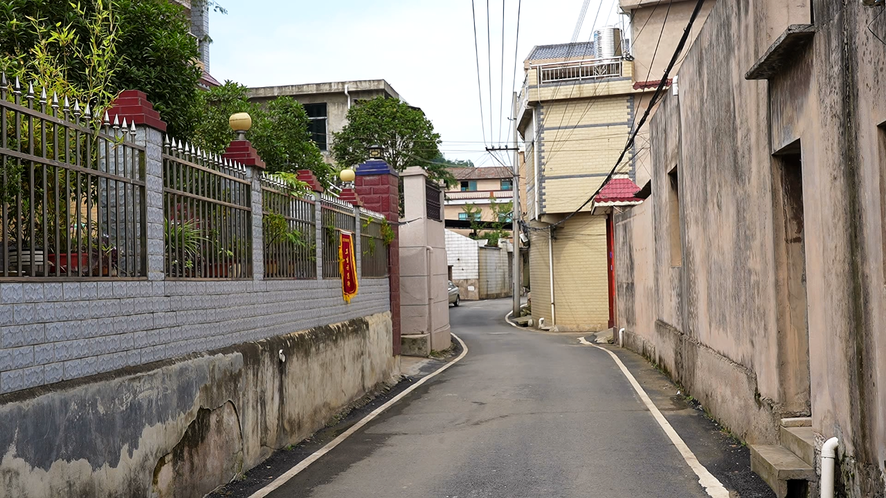 盛夏时节，漫步大西桥镇中所村，硬化道路整-FZ1002856055.png