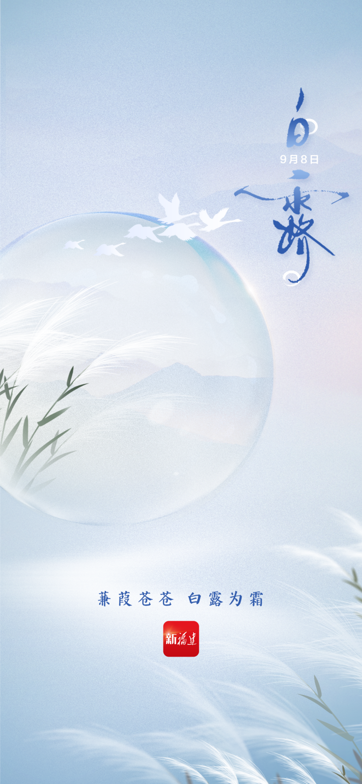 白露海报.png