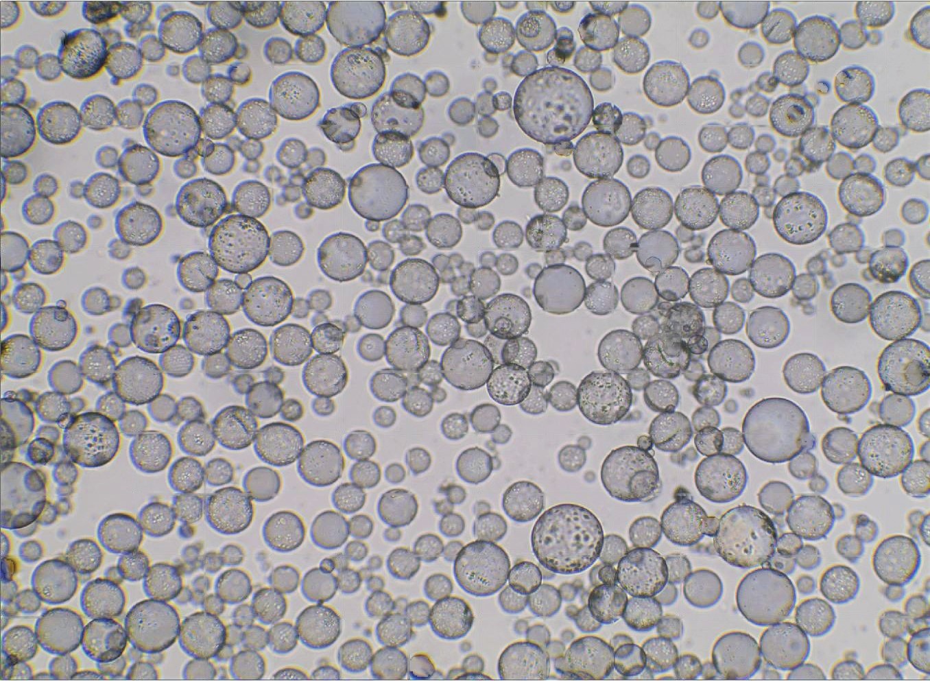 快思瑞CHINACOAT 2025中国国际涂料展圆满收官(图4)