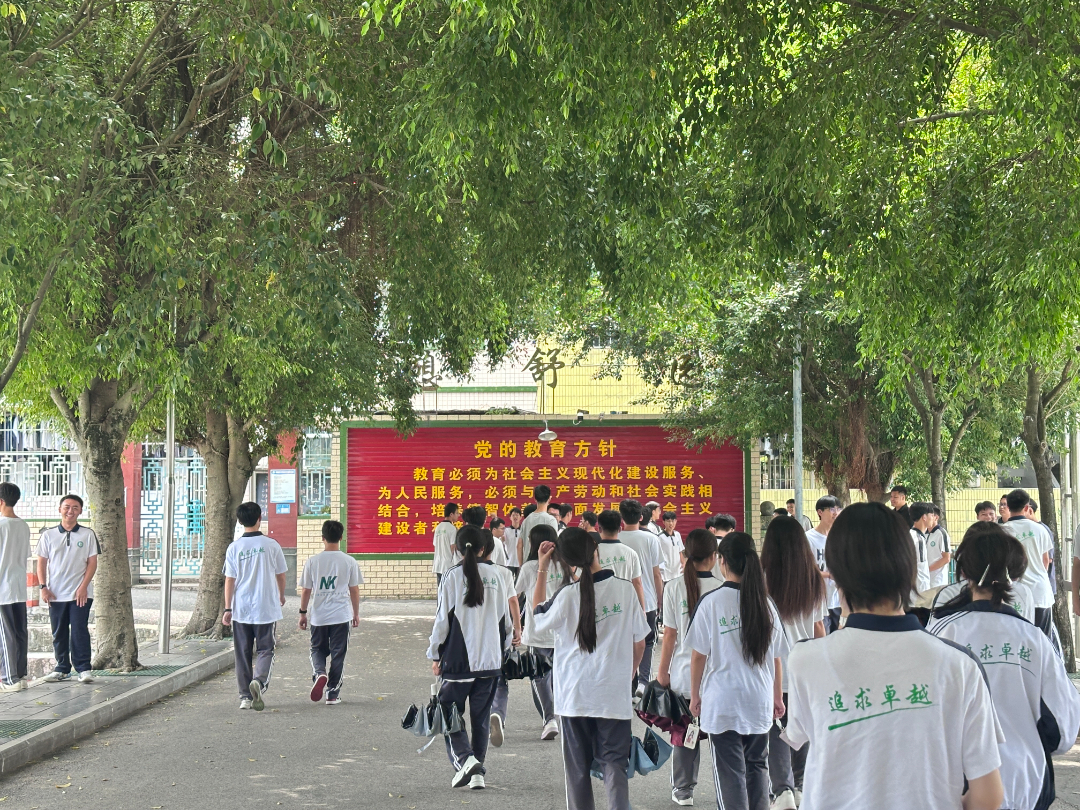 红花.jpg