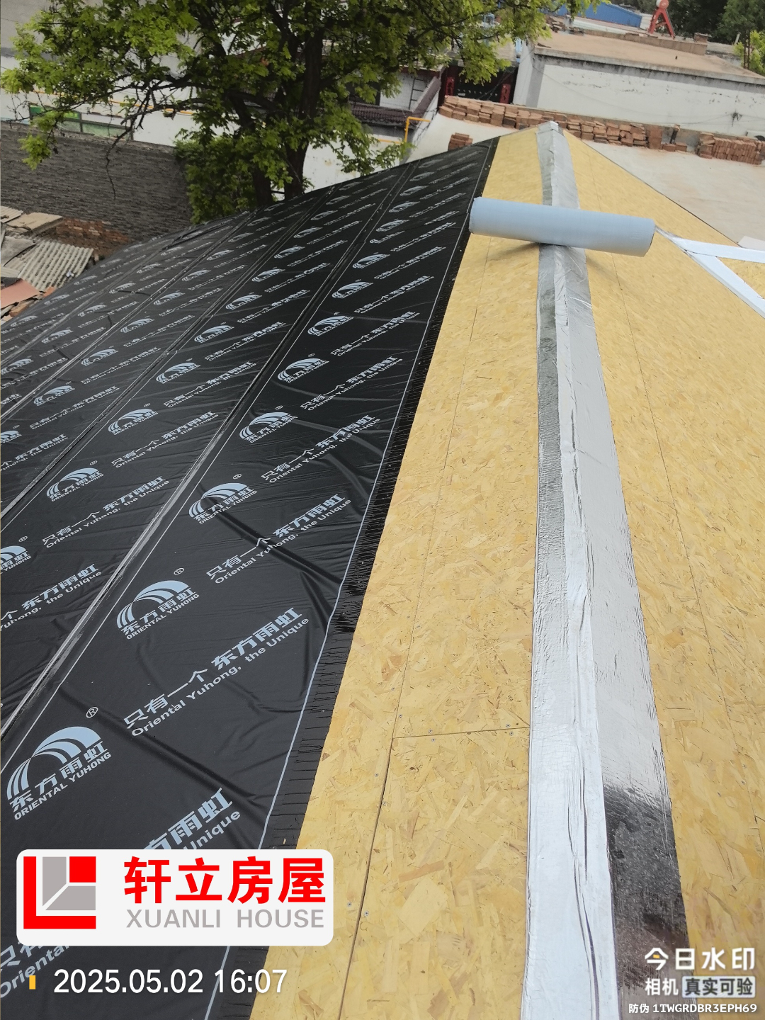 微信圖片_20250504081413.jpg