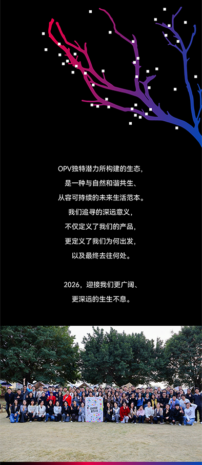 公众号-20.png