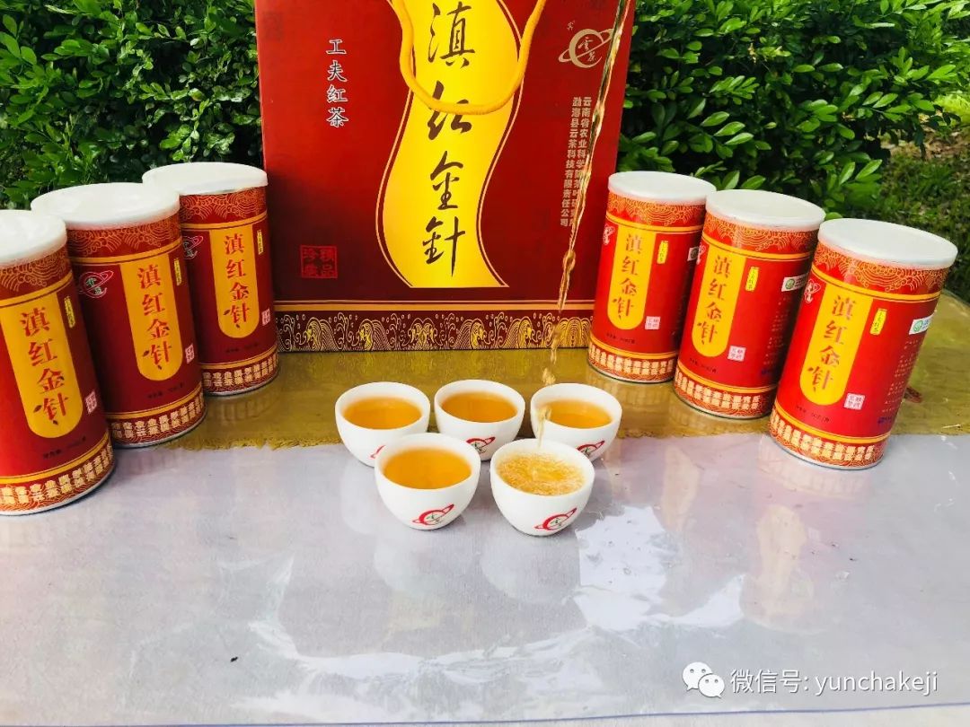 滇红金针.jpg