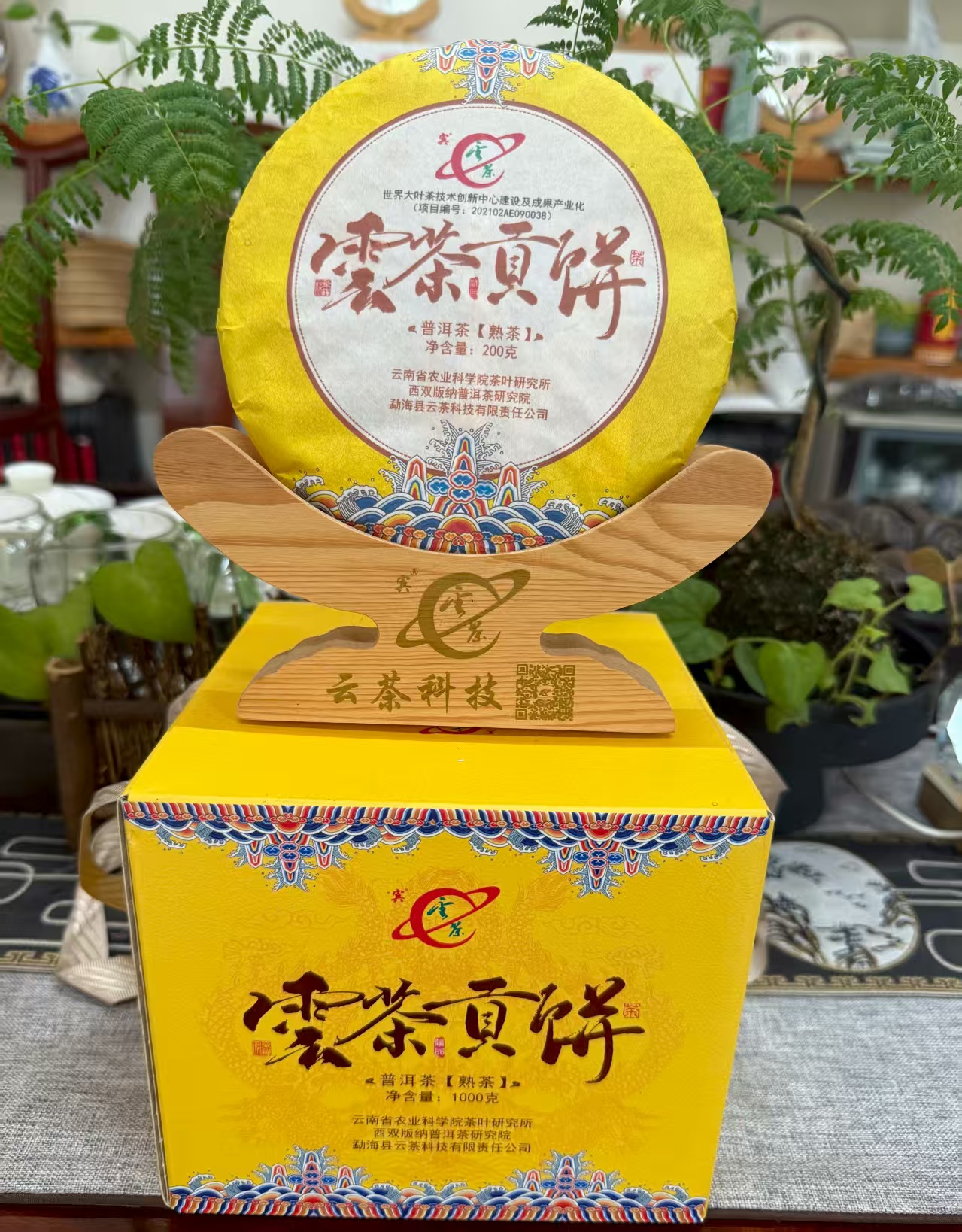 微信图片_20250806165500.jpg