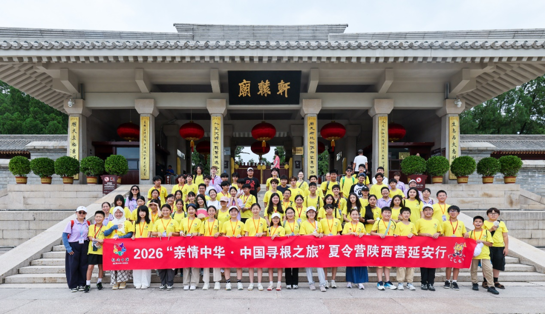 图片12.png 图片12.png