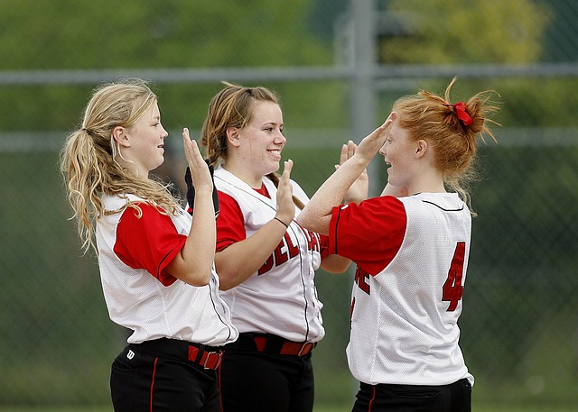 softball-1570671_640.jpg