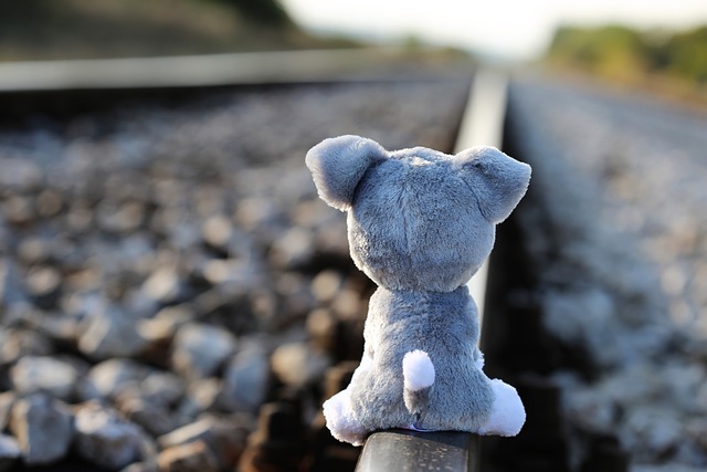 stop-children-suicide-2780142_640.jpg