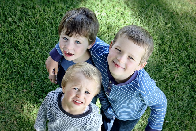 brothers-2107264_640.jpg
