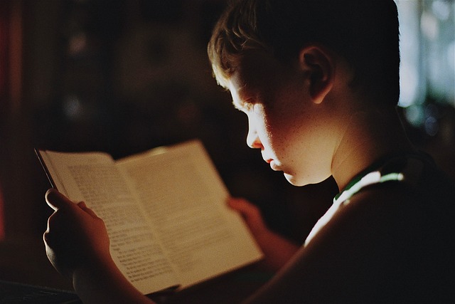 boy-5731001_640.jpg