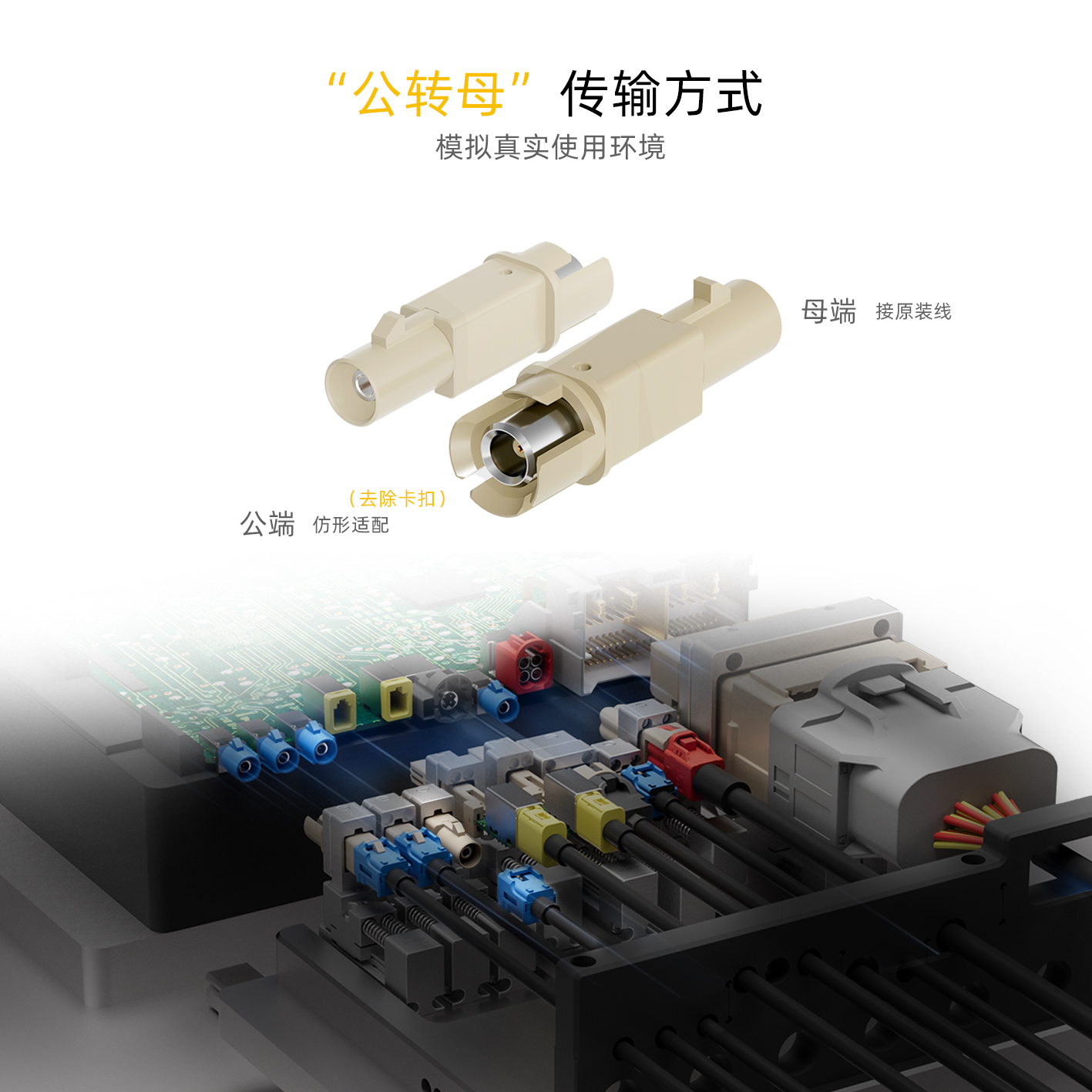 公转母.jpg