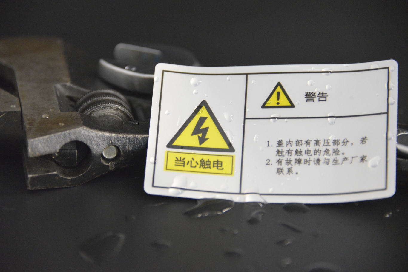 NIKON D600_20250813_101032.jpg