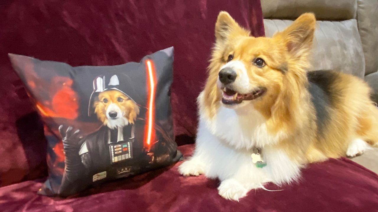 personalized-pet-gifts-smiling-gizmo-with-sci-fi-lord-pillow-horizontal-cnnu.jpg