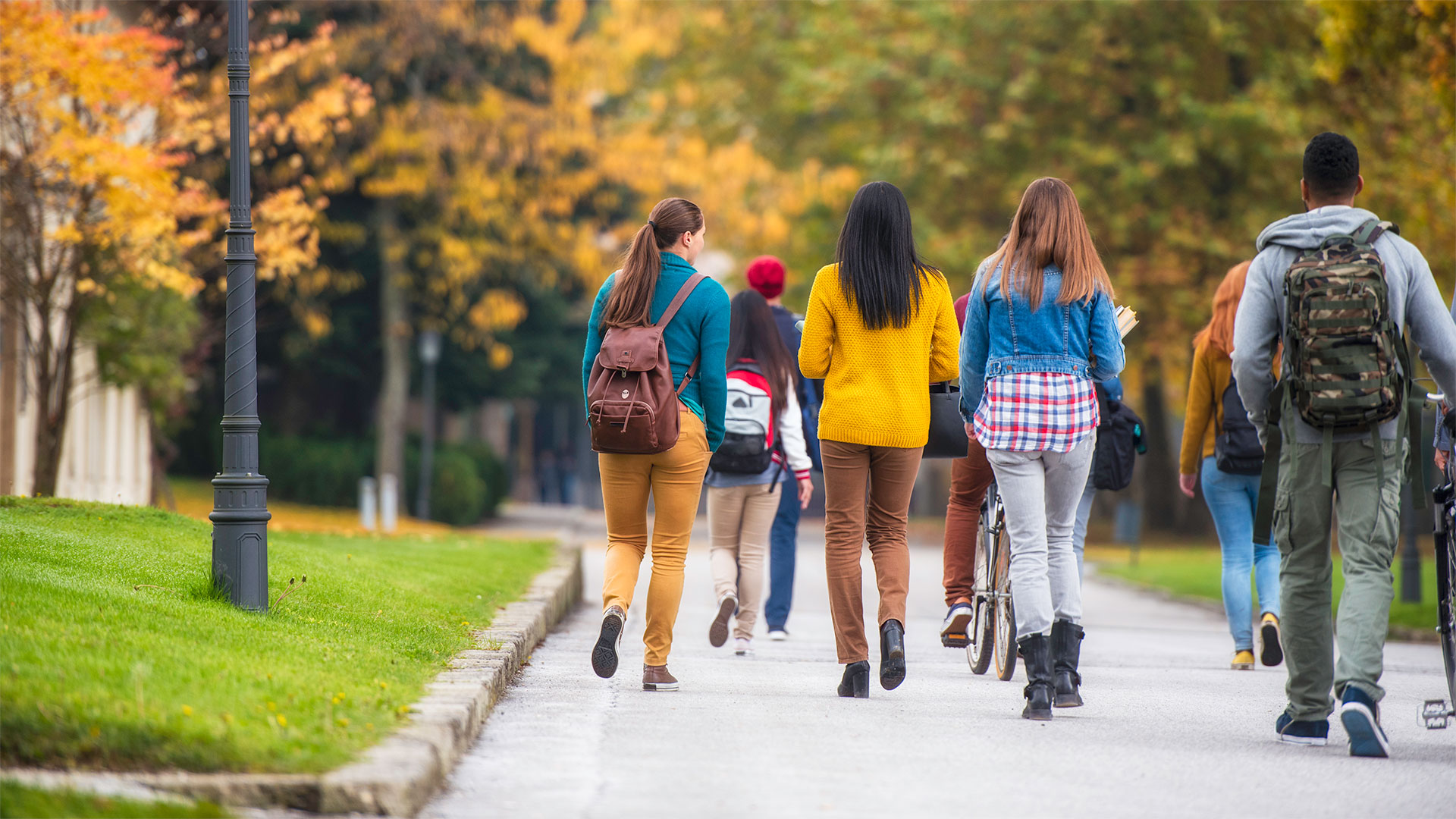 news-image-national-survey-reveals-59-college-students-considered-dropping-out-due-financial-stress.jpg