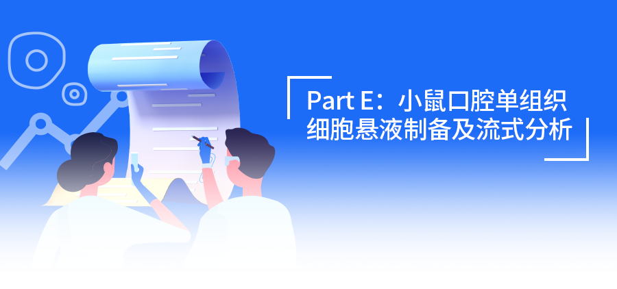 小鼠E.png