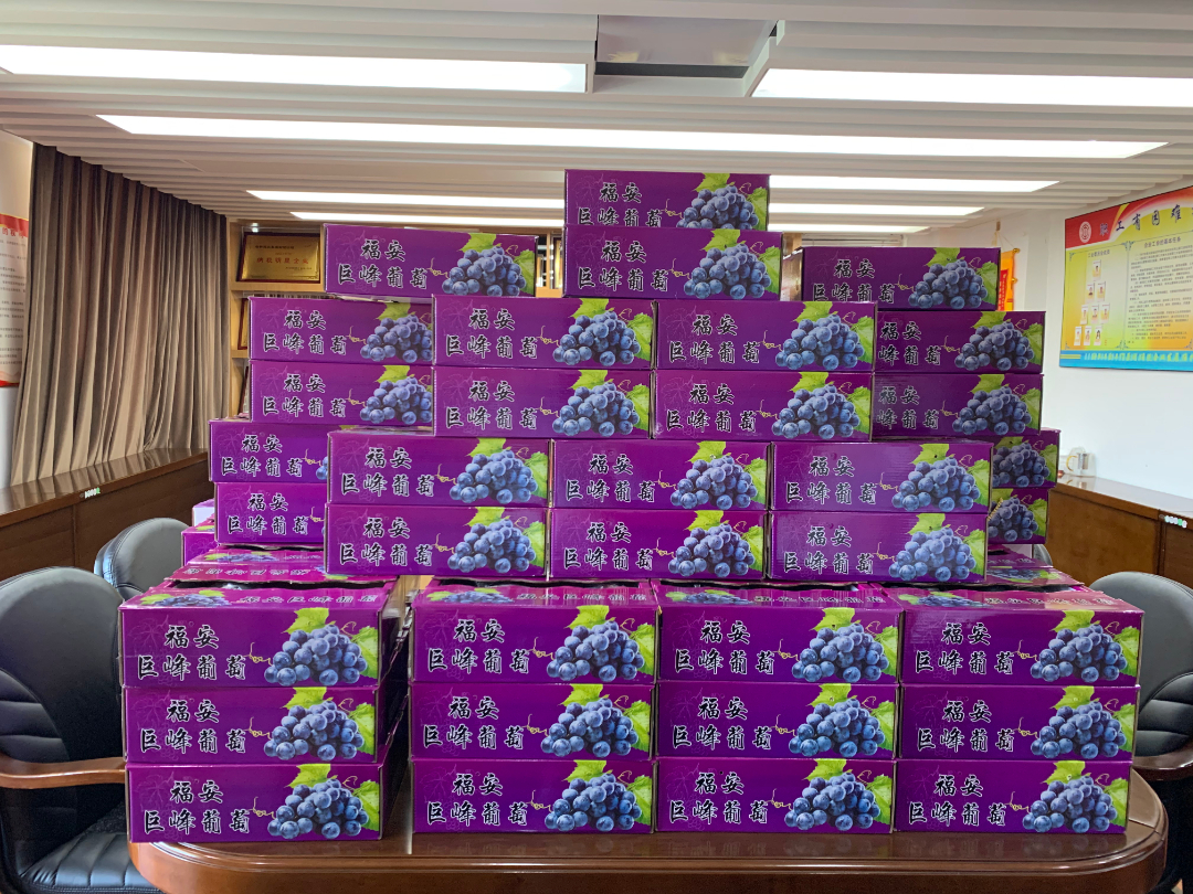 微信图片_20240713082322.jpg