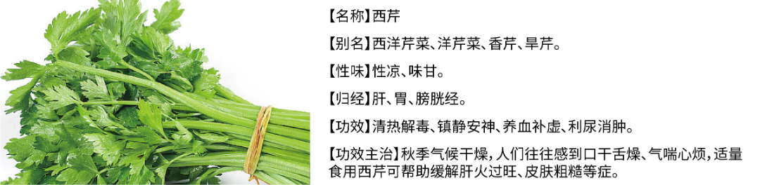未標題-1_畫板 1.jpg