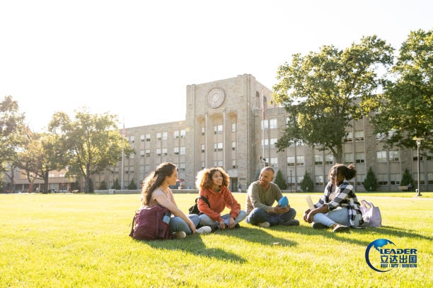 istockphoto-1768985857-612x612.jpg