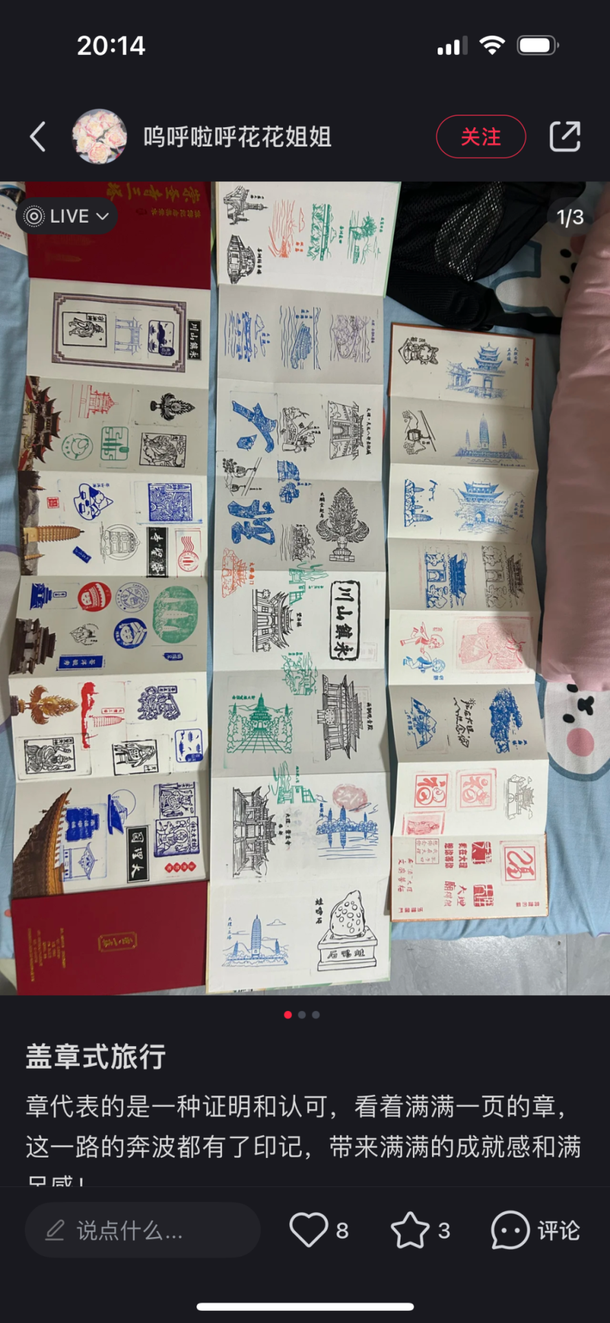 IMG_6790.PNG