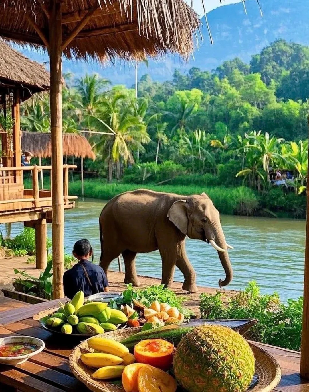 西双版纳 (1).jpg