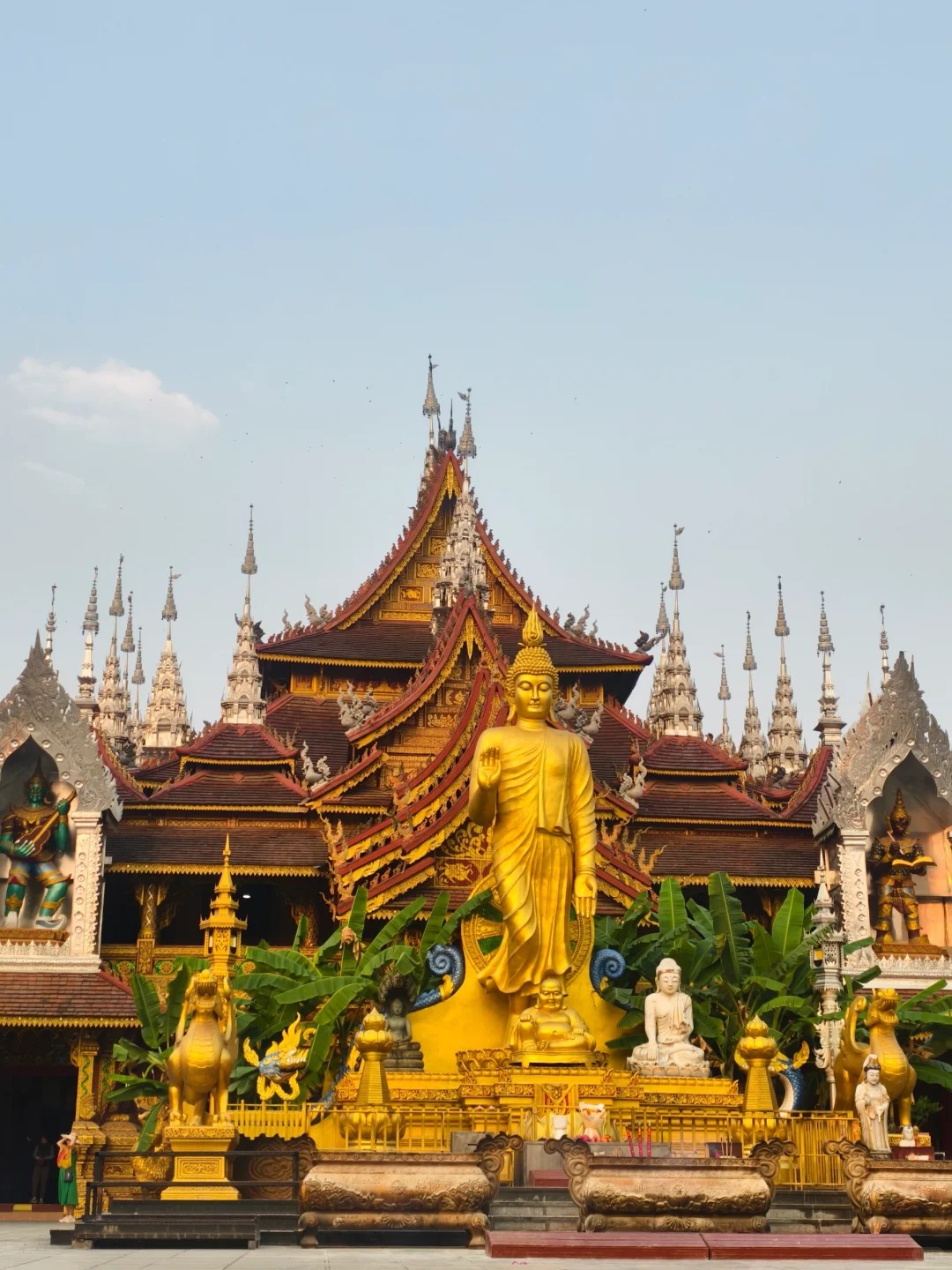 西双版纳 (2).jpg