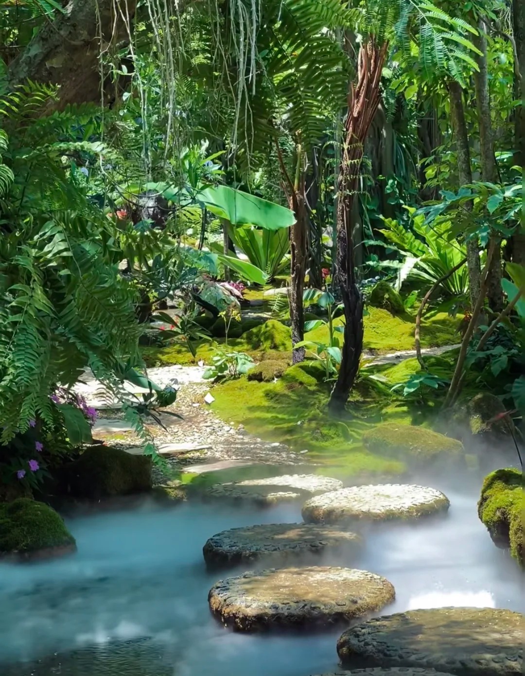 西双版纳 (5).jpg