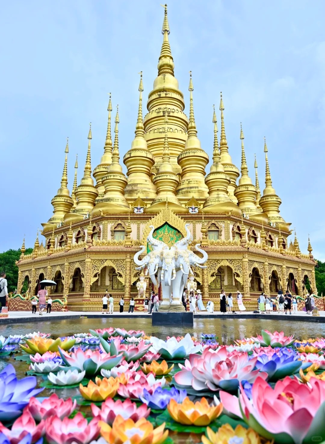 西双版纳 (4).jpg