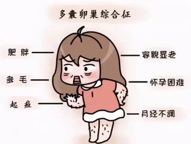 多囊图片.jpg